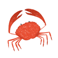 art illustration Sticker by Our Second Nature