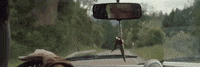 big cat GIF by Domino Recording Co.