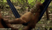 life ponders GIF