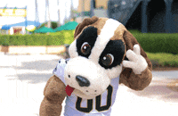 New Orleans Saints Hair Flip GIF by NFL