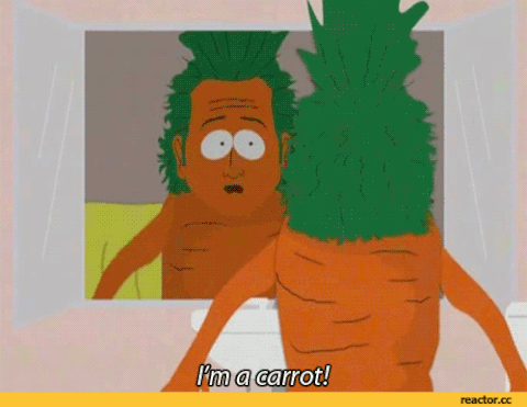 tvshow GIF