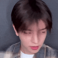 Skz Straykids GIF