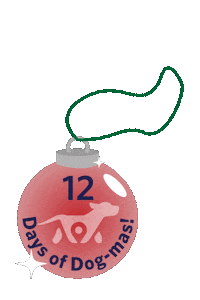 Christmas Doggy Daycare Sticker by Paws 'n' Rec