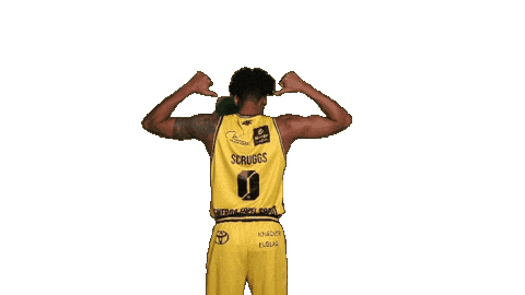 Basketball Koszykowka Sticker by Trefl Sopot