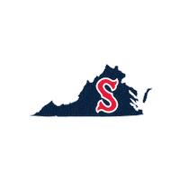 salemredsox baseball virginia salem redsox Sticker