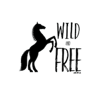 Wild Horse Sticker by Saddle and Sage