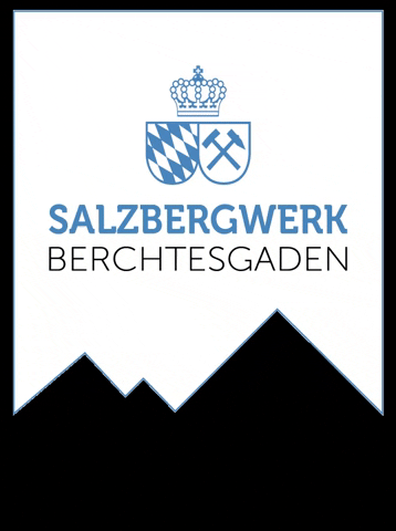 SalzbergwerkBerchtesgaden giphygifmaker aktiv berchtesgaden bergwerk GIF