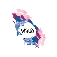 Island Varo Sticker by VÅRØ Records