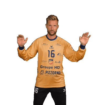 Robin Goalkeeper Sticker by Saint-Raphaël Var Handball