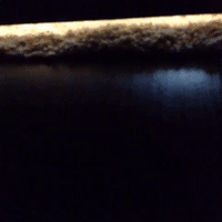GIF by andymilonakis