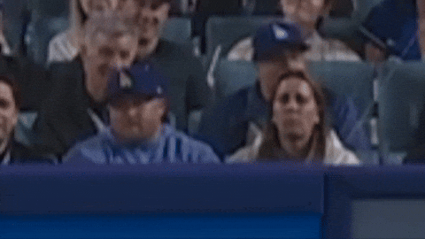 davyandrews giphyupload GIF