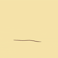 paulamiya flower positivity flor fofo GIF