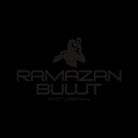 ramazanbulut ramazan dugun şanlıurfa fotoğrafçı GIF