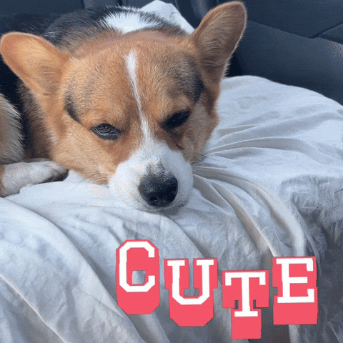 Milo GIF