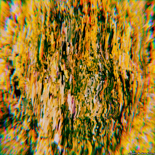 glitch mosh GIF by adampizurny