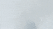#sharknado GIF by SYFY