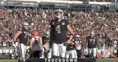 Regular Season Football GIF by NFL