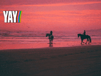 Startup Studienkreis GIF by FranchiseONE.de