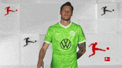Vfl Wolfsburg Hello GIF by Bundesliga