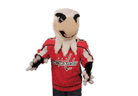 Ice Hockey Sport Sticker by NHL