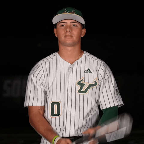 South Florida Baseball GIF by USF Athletics