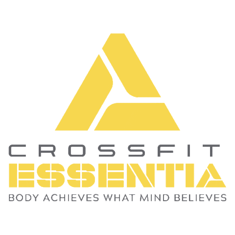 Nyon Sticker by CrossFit Essentia