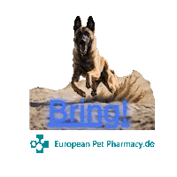 Ma Sticker by Europeanpetpharmacy