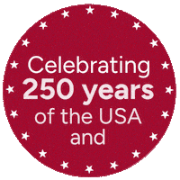 American Usa Sticker by Peace Corps