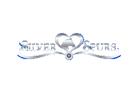 Horse Show Reining Sticker by Silver Spurs Equine