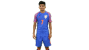 indianfootball bluetigers Sticker by Indian Super League