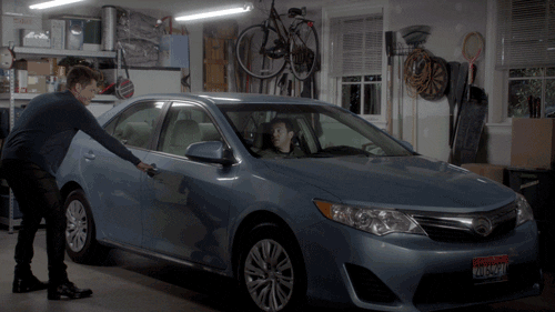 grinder fox GIF by The Grinder