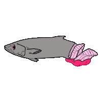 grulligroogl pink vegan ocean fish Sticker