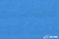 Cheer Tulane GIF by GreenWave