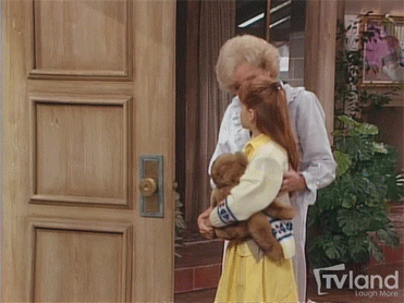 golden girls lol GIF by TV Land Classic