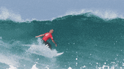 GIF by World Surf League