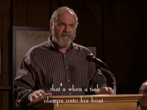 season 5 netflix GIF by Gilmore Girls 