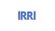 Logo Sliding Sticker by IRRISketch