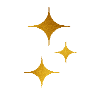 dudabarcikclinic sparkle gold shine sparkles Sticker
