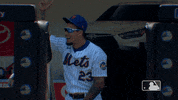 Celebrate Ny Mets GIF by New York Mets