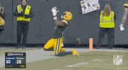 National Football League GIF by NFL