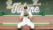 College Baseball Adam GIF by GreenWave