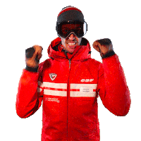 Lets Go Win Sticker by ESF