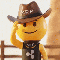 Respect Partner GIF by SaluteXRPL