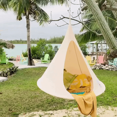 lassebergsvenningsen giphyupload GIF