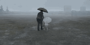Toronto International Film Festival Tiff 2019 GIF by TIFF