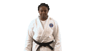 France Sport Sticker by Paris Saint-Germain Judo