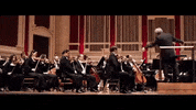 pittsburgh pennsylvania GIF