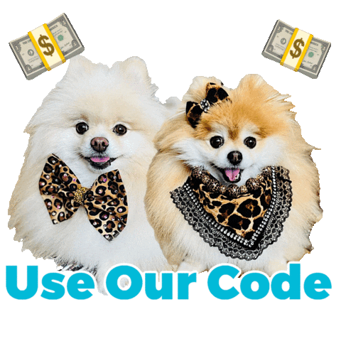 Pomeranian Cute Dogs Sticker by Pimp Yo Pets