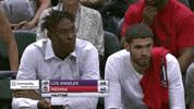 indiana pacers fans GIF by WNBA