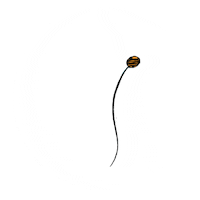 frecklefacejewellery freckleface frecklefacejewellery freckle face freckle face jewellery Sticker
